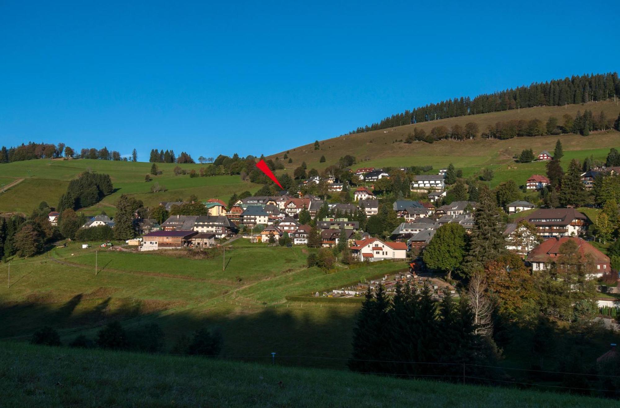 Apartment 03 - Ferienresidenz Roseneck, Mit Schwimmbad In Todtnauberg Bei Feldberg Extérieur photo
