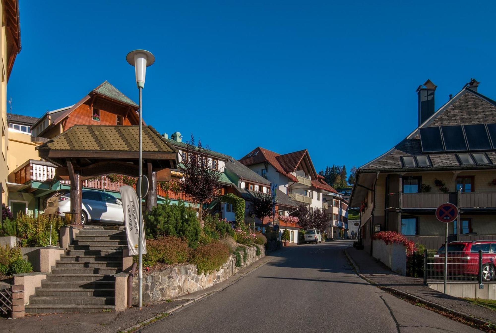 Apartment 03 - Ferienresidenz Roseneck, Mit Schwimmbad In Todtnauberg Bei Feldberg Extérieur photo