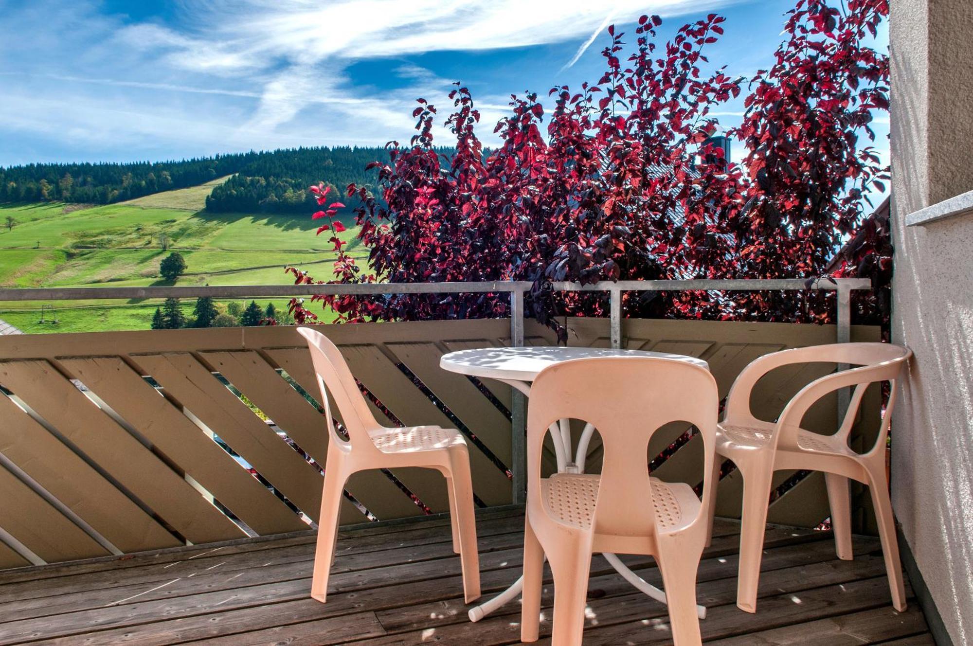 Apartment 03 - Ferienresidenz Roseneck, Mit Schwimmbad In Todtnauberg Bei Feldberg Extérieur photo